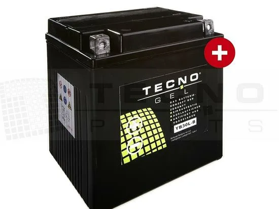 TECNO-GEL BATTERY YB30L-B 12V 30Ah