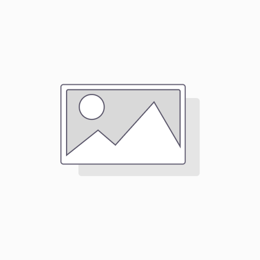 Metisse Hecktieferlegung 60-050-30 (30 mm) m. TÜV-Gutachten für BMW R 1100 S, ABS 1998 - 2004 (durch Modifizierung des Federbeinauges - Federbein muß eingeschickt werden!)