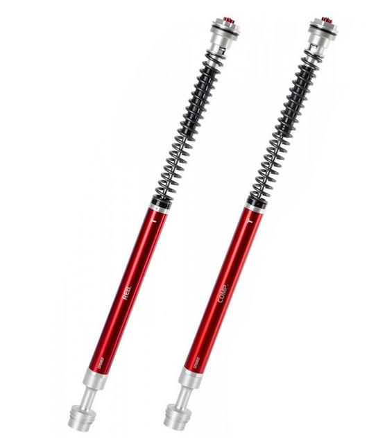 Cartridge-Kit Fork Professional Z3- YSS Kawasaki ZX-10R /10RR 1000 SE Ninja ABS/ Ninja KRT Replica ABS; Suzuki GSX-R 1000 RA /RZA ABS Year 2016-2020 for Rider 70-90KG 743.09.32