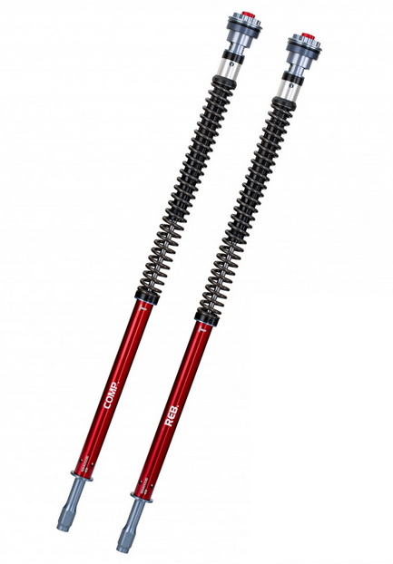 Cartridge-Kit Gabel  Professional Z1- YSS MV Agusta Turismo Veloce 800 ABS   Bj. 2016-2019 für Fahrer 70-90KG  743.09.44