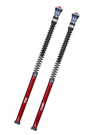Cartridge-Kit Fork Professional Z1- YSS KTM Duke 390 ABS Euro5 Year 2022 for Rider 70-90KG 743.11.91