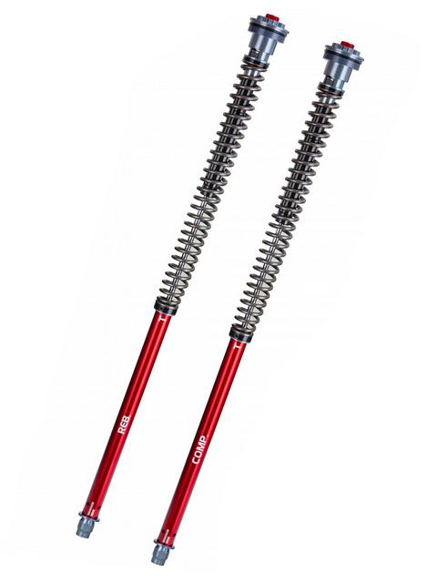 Cartridge-Kit Gabel  Professional Z1- YSS Triumph Scrambler 1200 XC ABS  (DS01) Bj. 2019-2021 für Fahrer 70-90KG  743.09.73