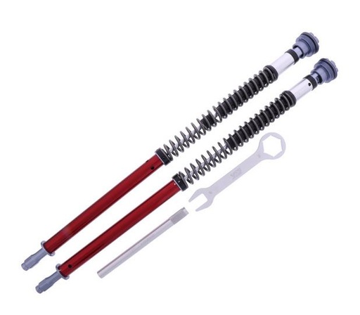 Cartridge-Kit Gabel  Professional- YSS BMW S 1000 RR ABS / PRO ABS  Bj. 2009-2018 für Fahrer 70-90 KG 743.10.13