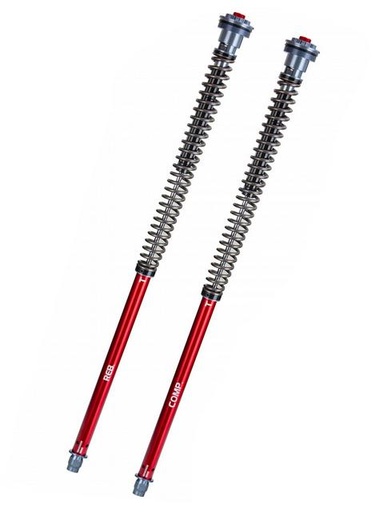 Cartridge-Kit Gabel  Professional Z1- YSS Suzuki GSX-S 1000/ F/UF/FUF/A ABS/ FA ABS /AUF ABS/FAUF ABS(Diverse Typ) Bj. 2015-2019 für Fahrer 70-90KG  743.09.58