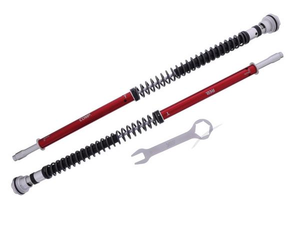 Cartridge-Kit Gabel  Professional Z1- YSS Yamaha MT-09 850/A ABS/  MTN850-A/Tracer 900 850 A ABS MTT850U (RN435/RN571) Bj: 2017-2020 für Fahrer 70-90KG  743.07.80